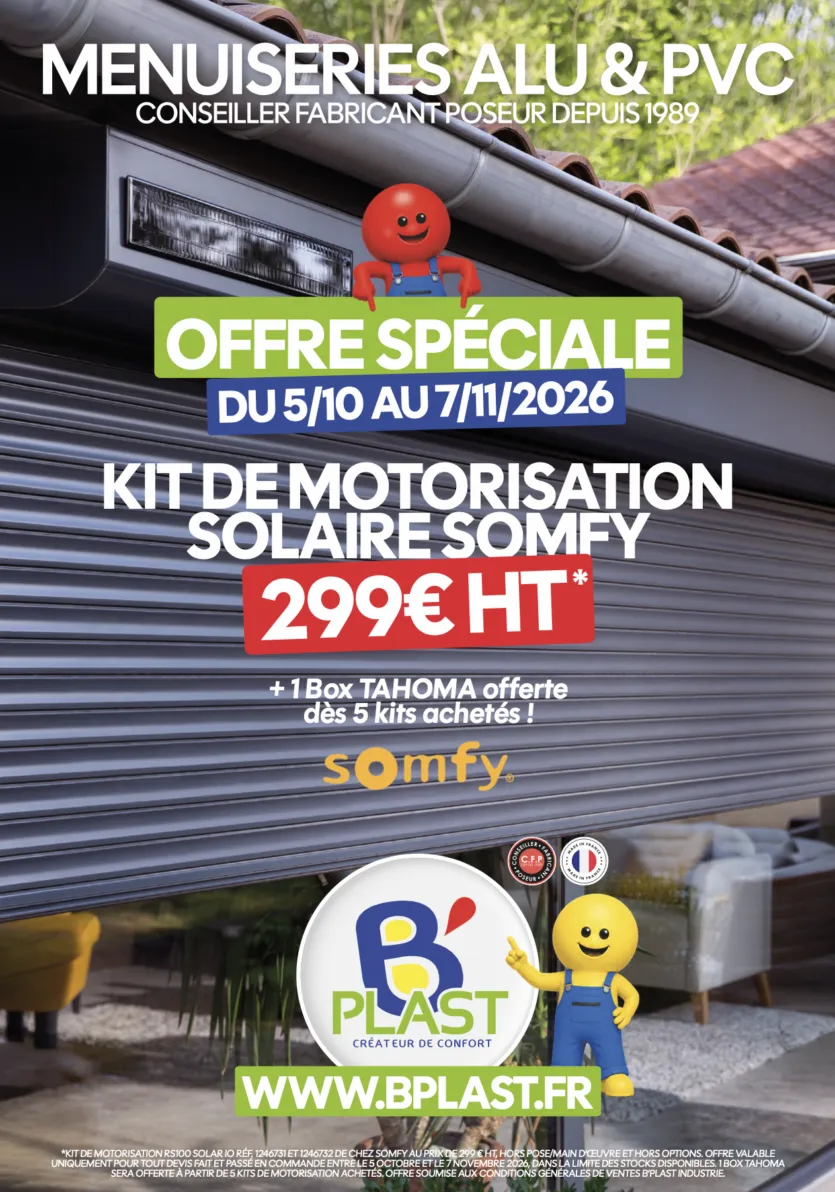Kit motorisation somfy